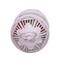 Kurt Adler 10.25-Inch Battery-Operated LED Swirl Cardinals in Water Bird Cage